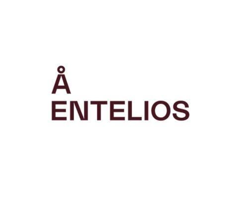 Å Entelios Logo