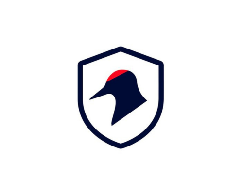 Gridguard AS - logo